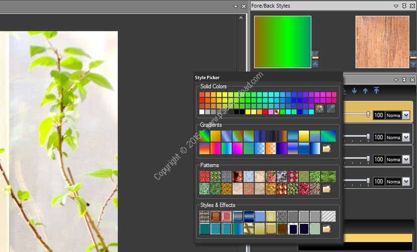 serial key picture collage maker 4.1.2